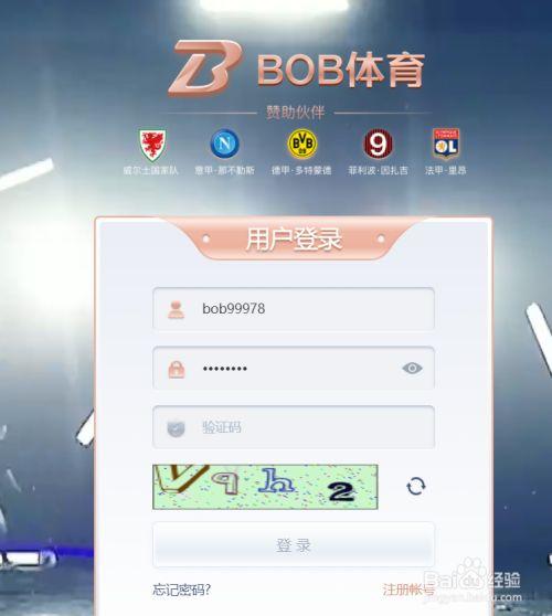 旧版BOB·体育综合APP下载