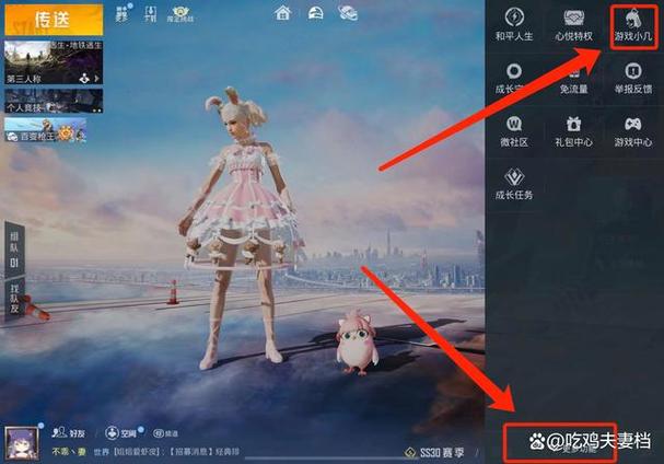 和平精英关系别人看得到吗