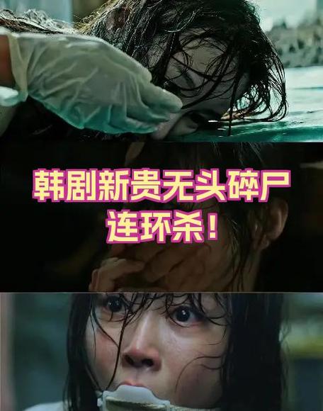 韩剧《密室》完整版免费观看