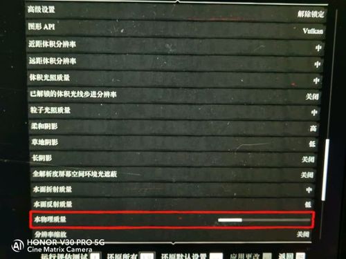 荒野大镖客2流畅设置