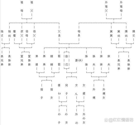 曹邦兴兄妹关系图