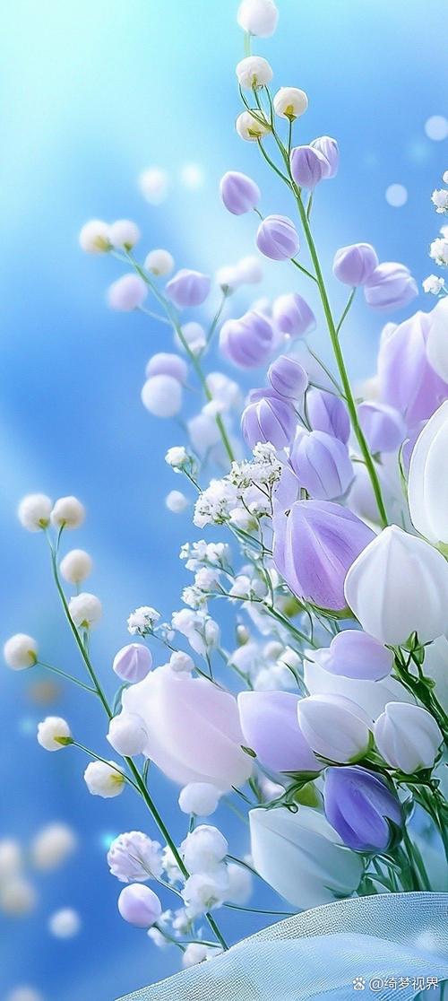 wallpaper壁纸