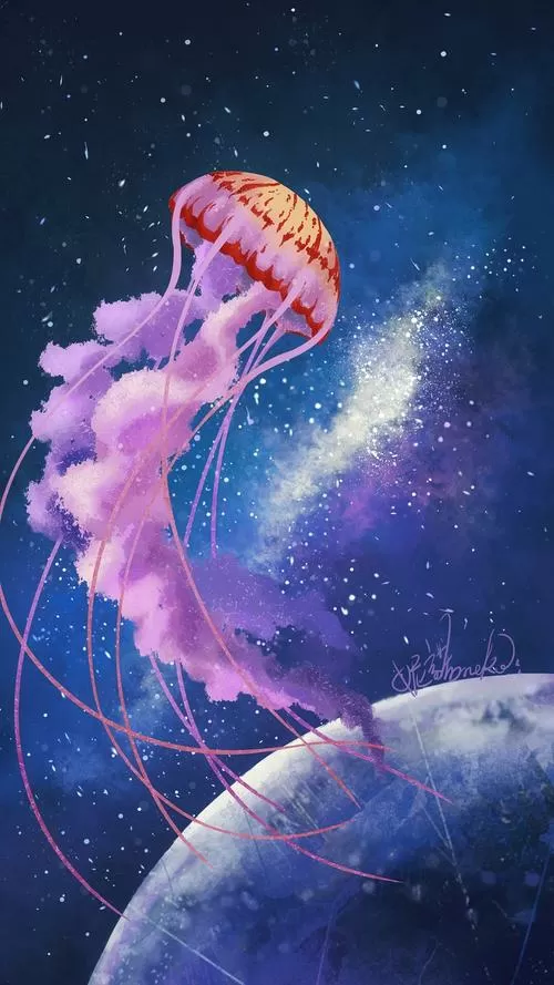 水母动漫安卓版