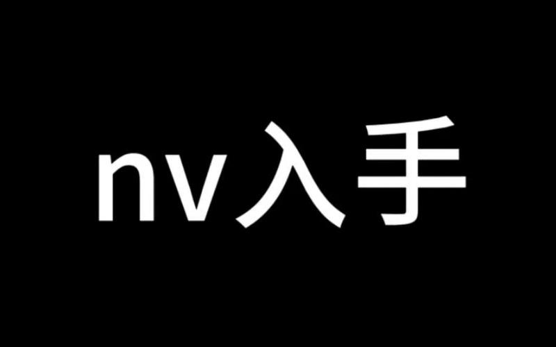 nv最新破解版安装9.0