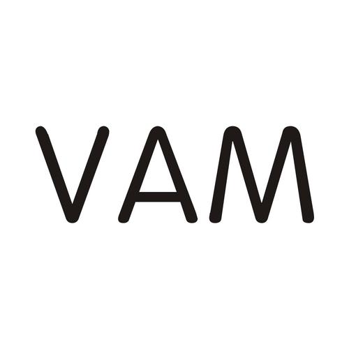 VAM动漫全集
