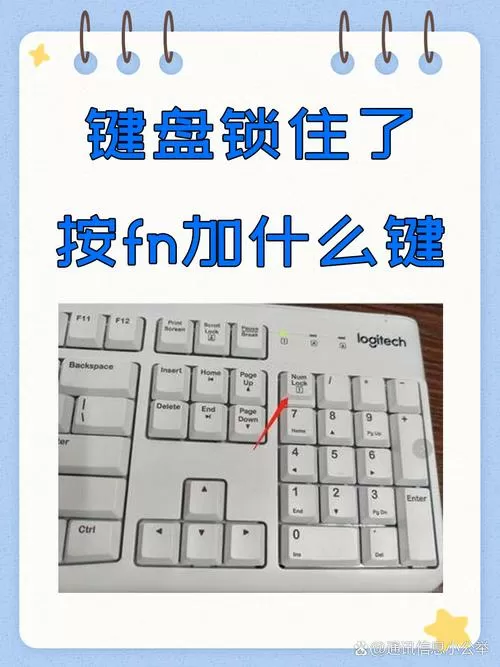 键盘锁了按什么解除